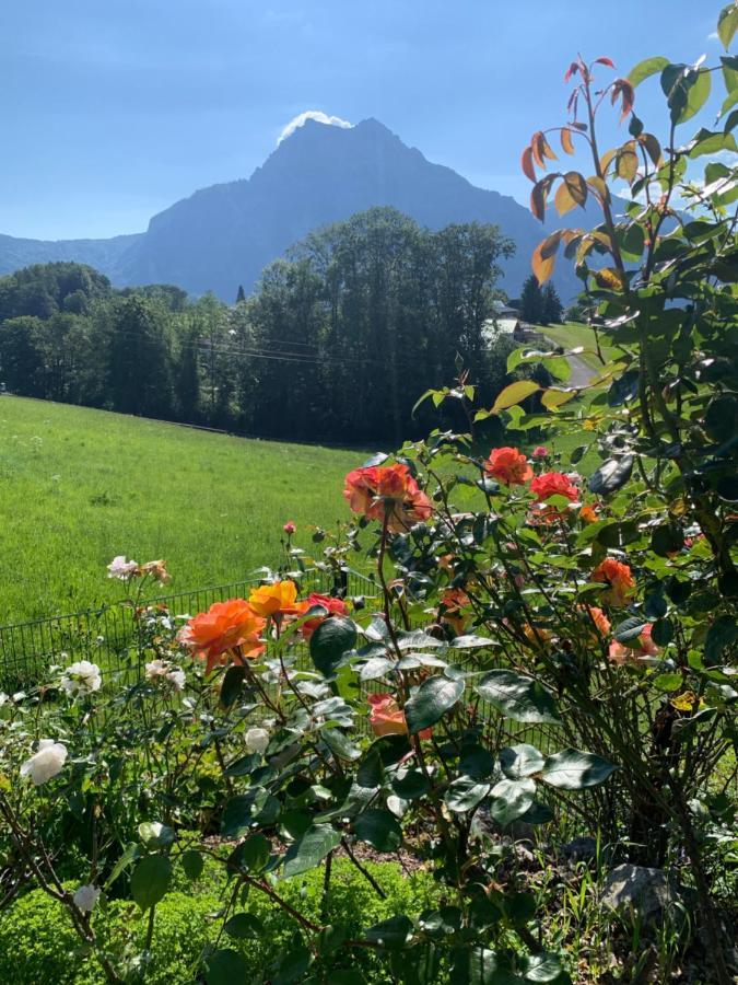 Kainzleitenhof Nachdemsee エクステリア 写真