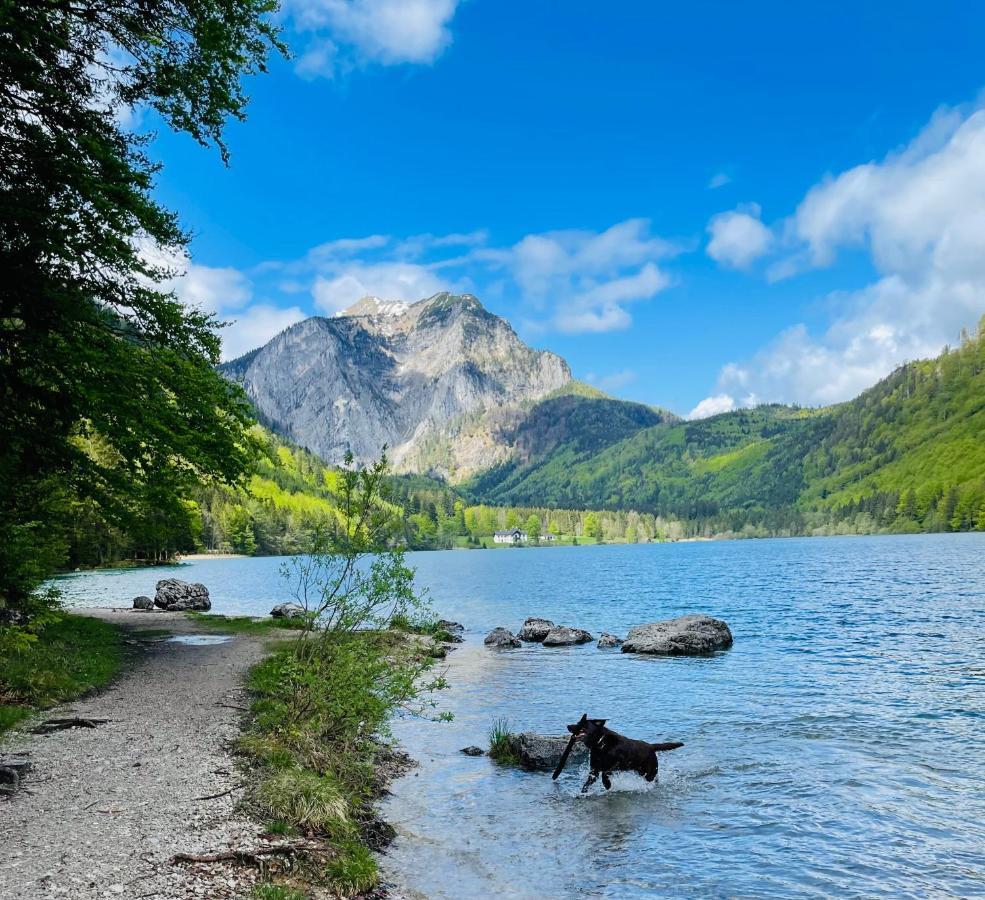 Kainzleitenhof Nachdemsee エクステリア 写真
